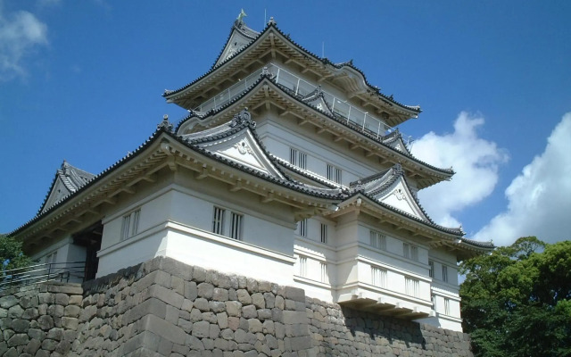 Yamagaso