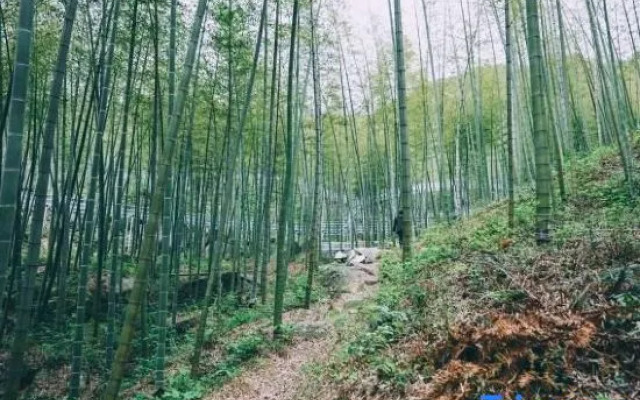 Tianzhu Huaxi Vally B&B