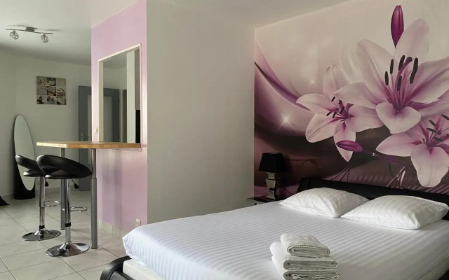 Appart du cirque centre historique