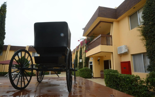 Hotel Sicomoro