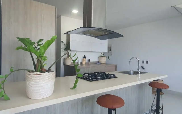 Penthouse de lujo