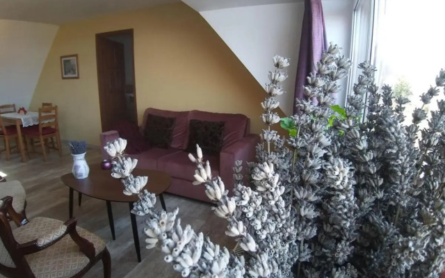 Rooms for Rent near Budapest