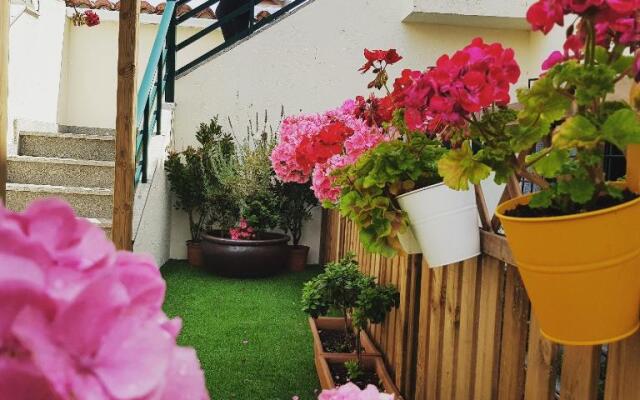 A Casa Da Tia Elisa