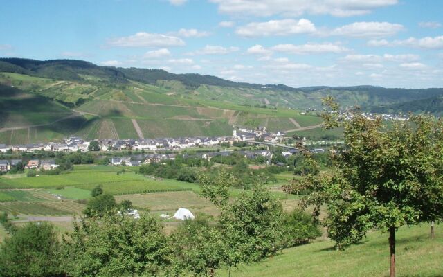 Apartment in the Moselle Region