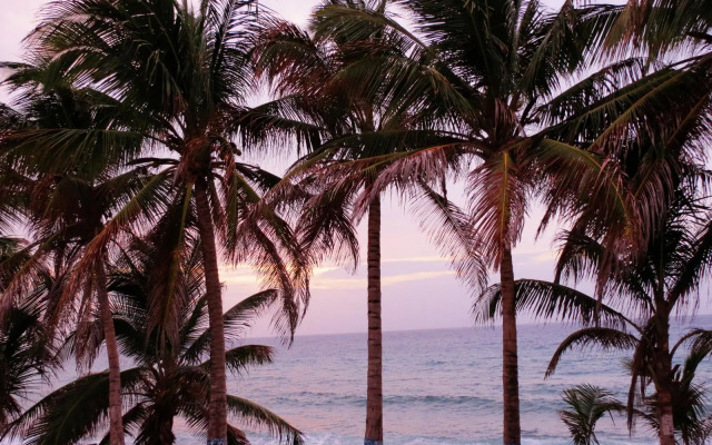 Island House Hotels