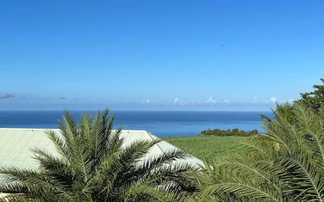 Zabana Lodge, dans un jardin tropical avec piscine