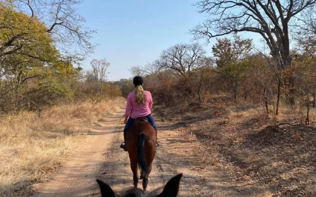 Holiday Rental Home in Victoria Falls