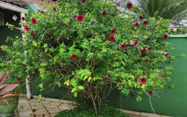 Casa com Piscina Morada da Praia