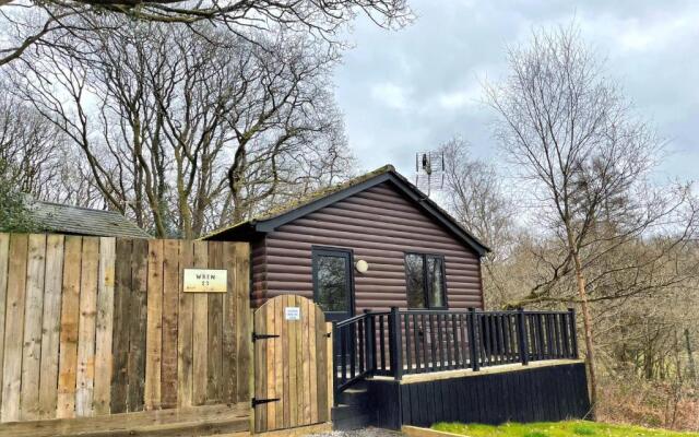 Wren 23-Hot Tub-Woodland Lodges-Tenby-Pembroke