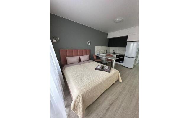 Апартаменты на улице Пискунова 148/5