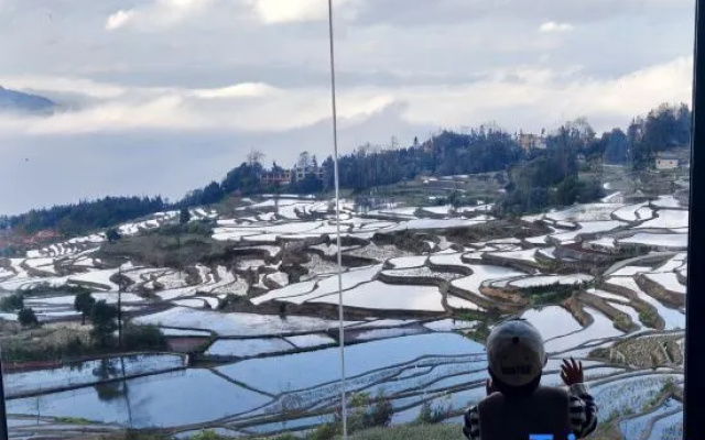 Rice Field Ideal. Blue Terrace Scenic Homestay — 3-star hotel in Yuanyang