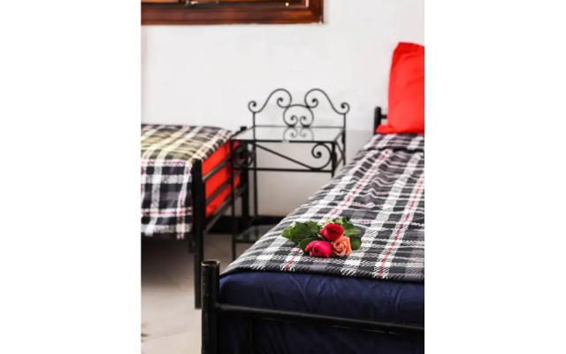 Peace Hostel - Adults Only