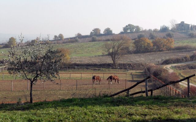 Podere Pievina Delle Corti