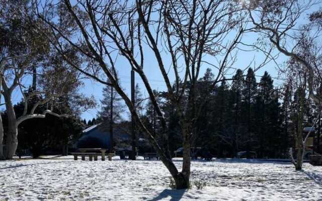 Tullys Hut - Walk to Hikes, Waterfalls, Views