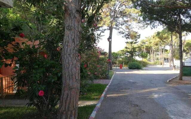 Camping La Buganvilla
