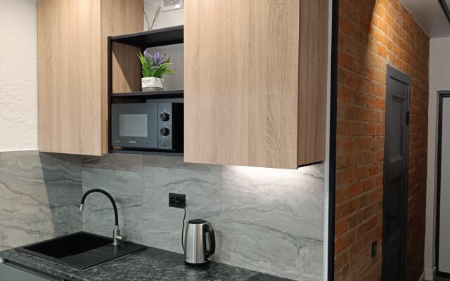 Апартаменты Лофт на Державинском