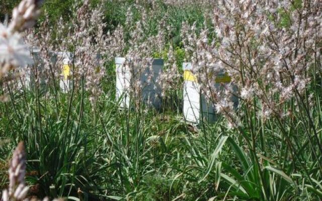 Inde Noi Chambres D'Hote