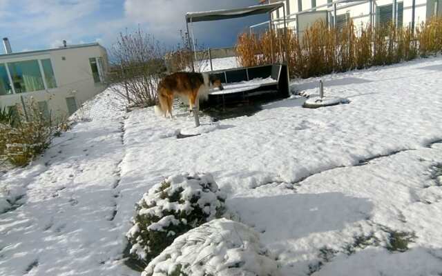 Swiss Borzoi House