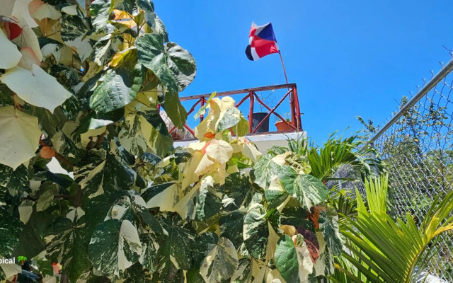 Luxury House Bungalow and apartments La Botánica Tropical