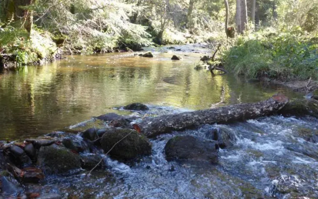 Le Moulin Gitenay - Yourte