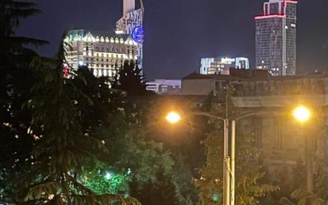 2 Bedroom Apartment on Chavchavadze Ave