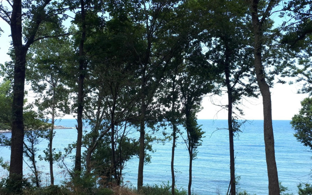 Tiffany Joy Apartments