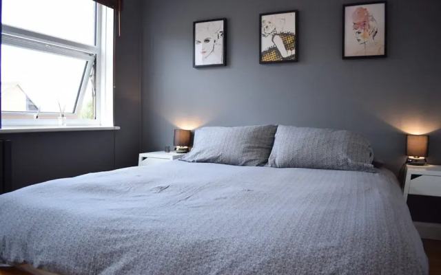 Cosy 1 Bedroom Apartment in Homerton