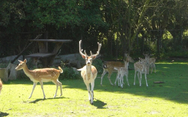 House Situated Peacefully on a Vast Green