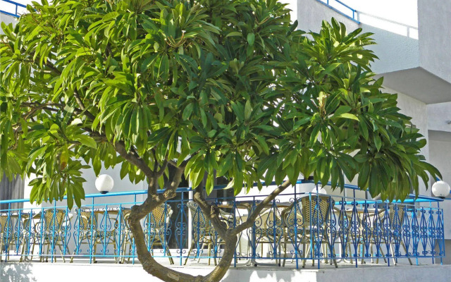 Summer Breeze Hotel