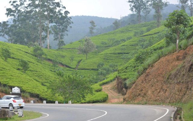 The Edge Luxury Apartment