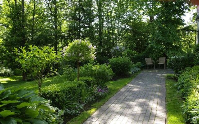 Blue Forest Lane Bed and Breakfast