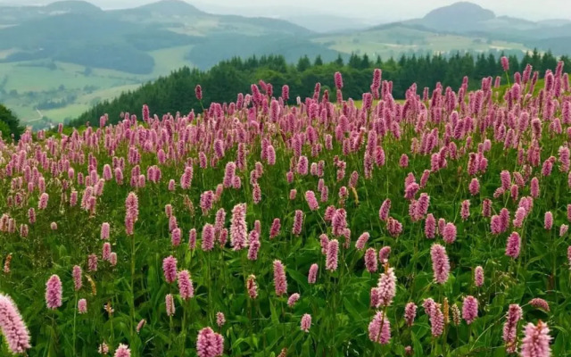 Holiday Apartment Erlebnisrhoen