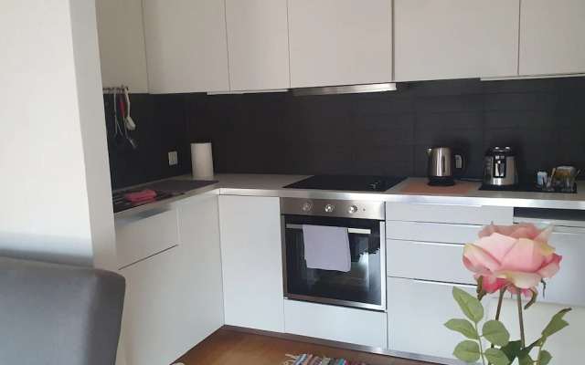 Executive Huge Flat in Central Lugano