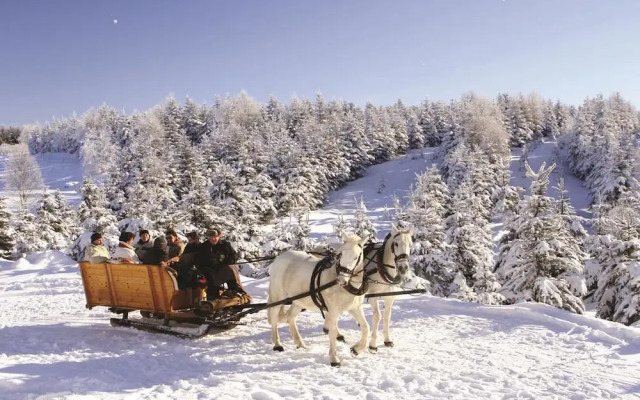 Buntes Haus Seiffen - Hotel Erbgericht