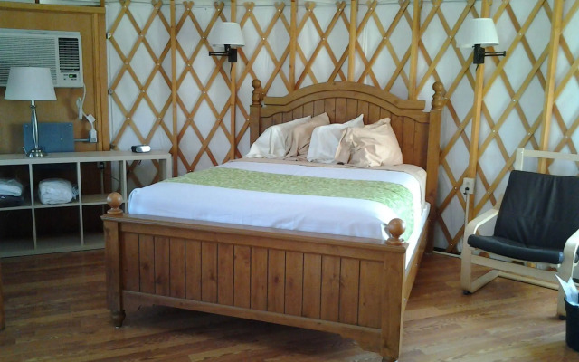 Shelby Mansfield KOA Resort