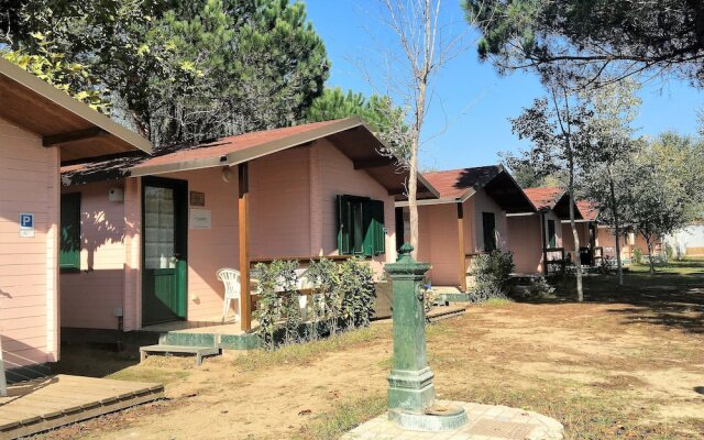 Room in Bungalow - Greenchalets Tuscany Viareggio