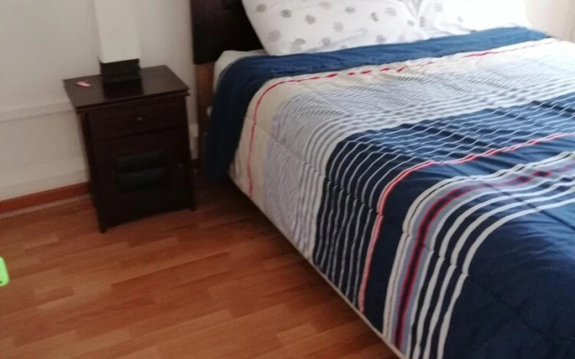 Wild Santiago Hostel