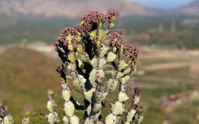 Jing Jo Boutique Bungalow