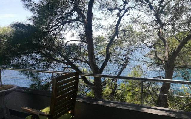 Vila Filipovic