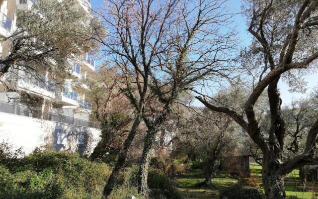 Apartment Olive Montenegro KO Becici