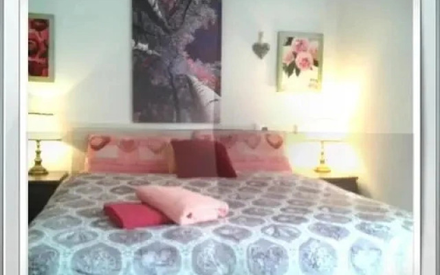 BB Solidale Il Giglio