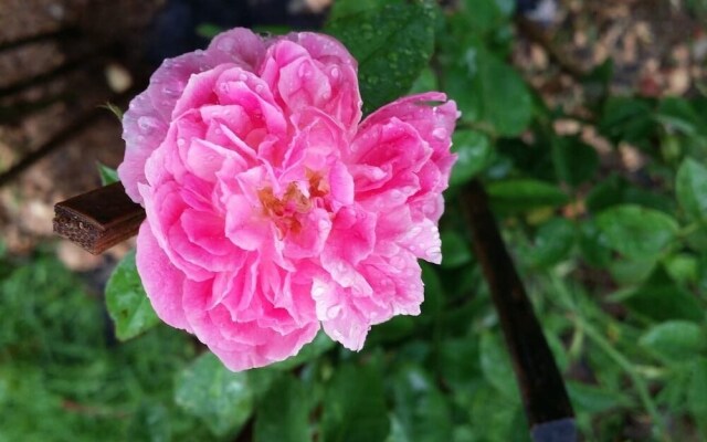 Pana Villa Kathu Patong