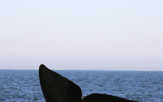 De Kelders Private Retreat