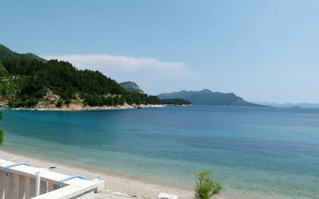 Jelka Trstenik in Trstenik
