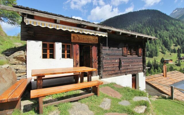 Beautiful Chalet in Binn With Parking