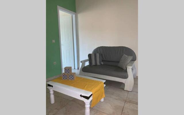 Lemon City Apartment