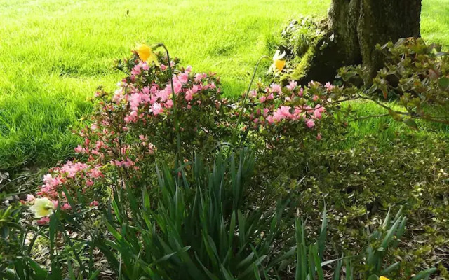 Bodrean Manor Farm Bed and Breakfast