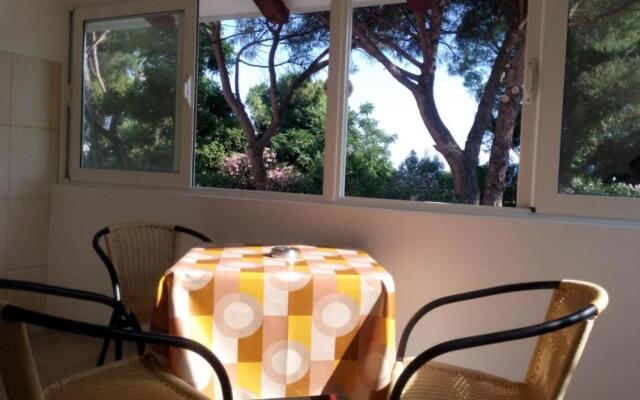 Apartmani Luka