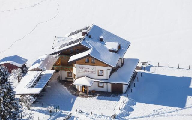 Ferienhaus Fallenegger