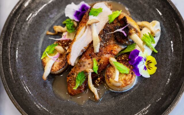 Canopy by Hilton Charlotte Southpark